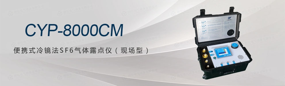 CYP-8000CM便攜式冷鏡法SF6氣體露點儀(現場型)